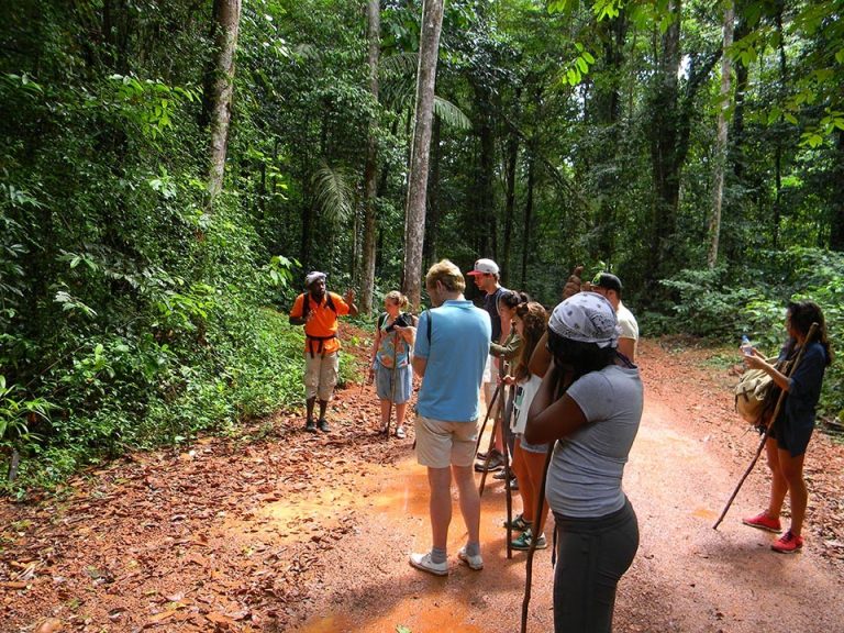 tour guiding – Suriname Tourism Board